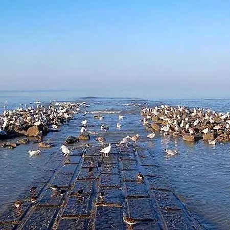 Near Seawall With Sea View