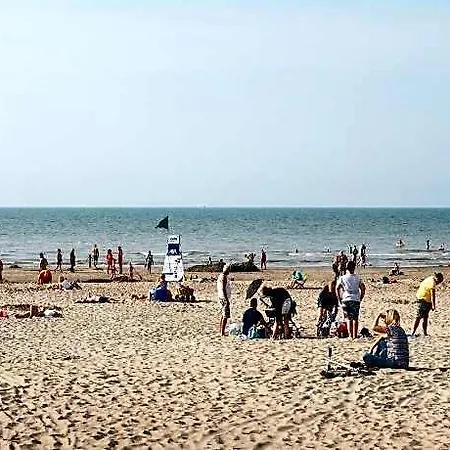 Near Seawall With Sea View
